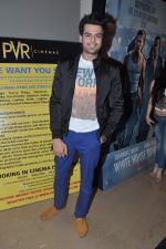 Manish Paul at Sixteen film premiere in Mumbai on 10th July 2013 (76).JPG